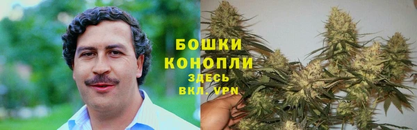 сатива Покровск
