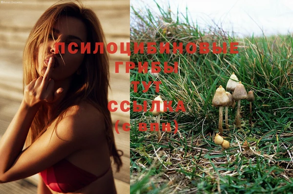 2c-b Семилуки