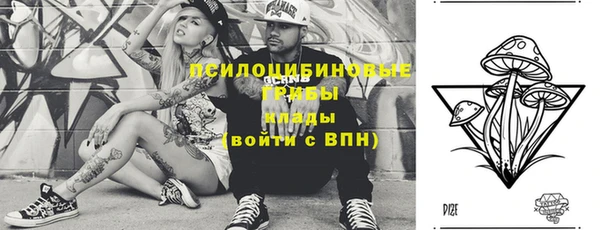 гидра Воткинск